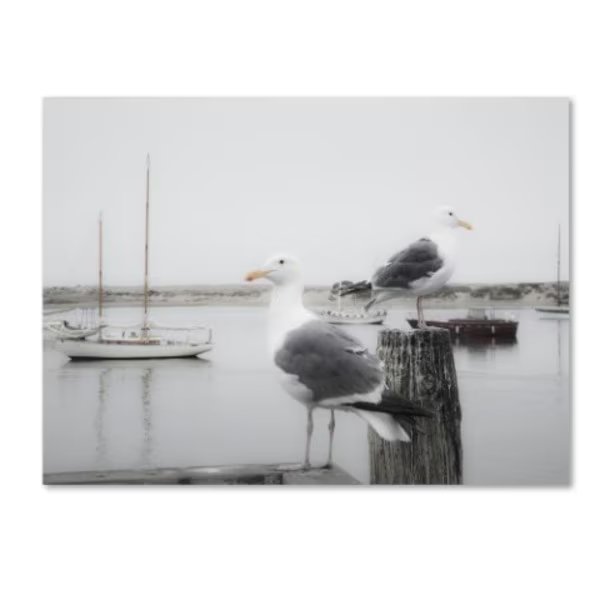 Moises Levy 'Two Seagulls & Boats' Canvas Art, 24x32, Trademark Fine Art, Mfr#: ALI1147-C2432GG
